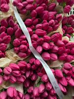 ОПТ тюльпан - классика ЯРКО РОЗОВЫЙ