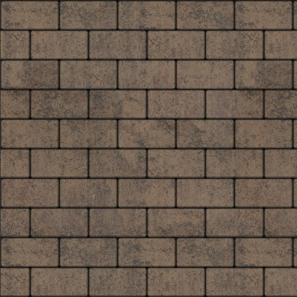 Тротуарная плитка ПРЯМОУГОЛЬНИК 200x100 мм - Листопад гладкий Шелковица