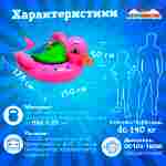 Электрическая бамперная лодка «Уточка» XL, розовая, взрослая на часовом механизме