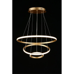 Подвесная светодиодная люстра Aployt Janina APL.018.13.60