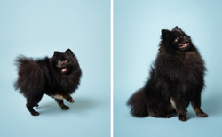 SA 2-12 SKY BLUE, бумажный фон 2,72х11м