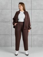 Брюки Авенсис-3 Виотекс КОРИЧНЕВЫЙ
