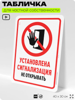 Табличка для частной территории "Установлена сигнализация", на дом, для участка, организаций и частных территорий, предупреждающая, 40х30 см, Silver Plane x Айдентика Технолоджи