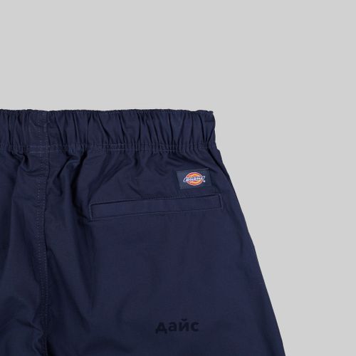 Брюки мужские Dickies Fishersville Pant артикул:DK0A4YSDDNX1 - купить в магазине Дайс