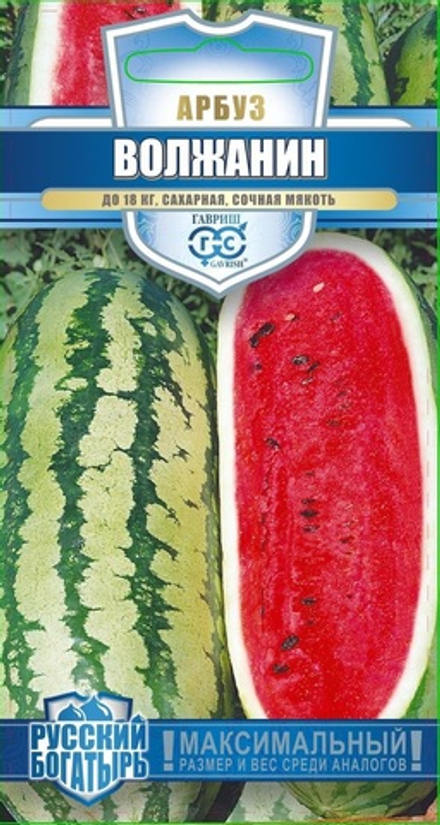 Арбуз Волжанин 1 гр серия Русский богатырь Гавриш