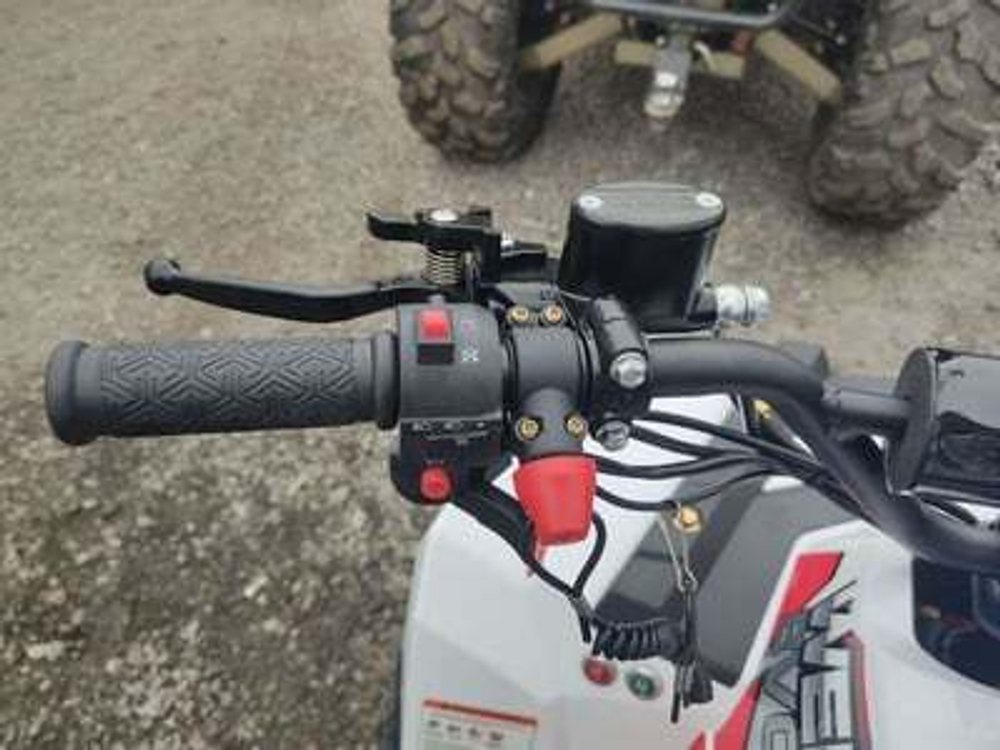 Квадроцикл WELS EVO.M