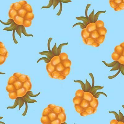 Ягода морошка на голубом