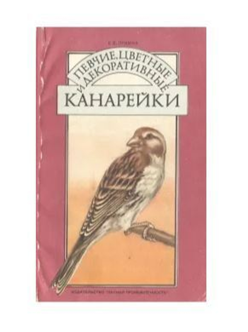 Певчие, цветные и декоративные канарейки