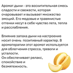 Дыня, кубики восковые для ароматизации, 10 штук