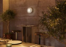 Светильник настенный Maytoni   MOD435WL-01W