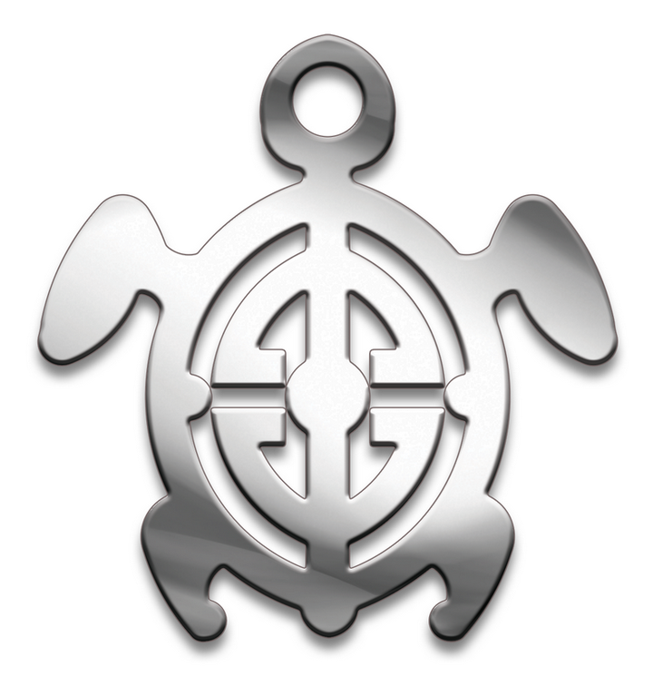 Амулет Символы Суперхит № 08 Мудрая черепашка, медицинская сталь