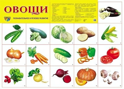 Плакат А2 "Овощи" (Сфера)