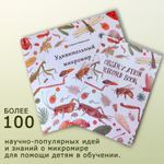 Портативный электронный микроскоп Бобровая лаборатория стандарт