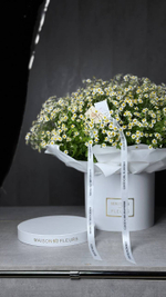 Ромашковое поле