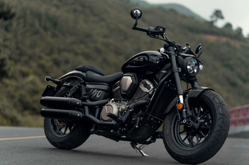 Benda Chinchilla 500