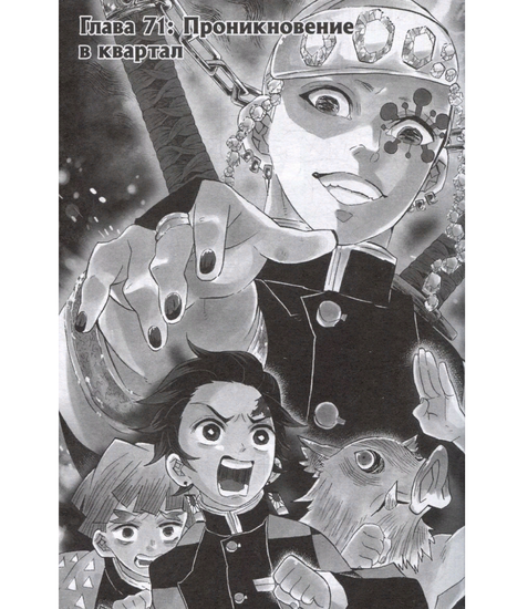 Манга Истребитель демонов. Том 9. Проникновение в квартал