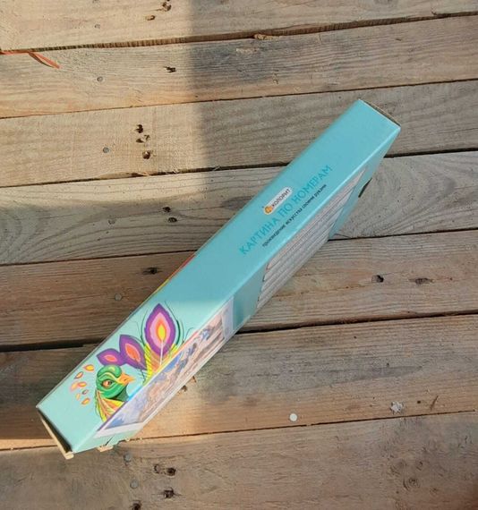 Nömrələr ilə rəngləmə \ Картина по номерам E571