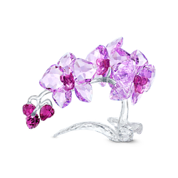 CRYSTAL FLOWERS:ORCHID