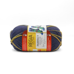 Regia Design Line PAIRFECT 4 ply - 09091 (jolster color)