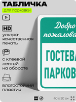 Табличка для парковки "Добро пожаловать, гостевая парковка", для дома, офиса, организаций, 40х30 см, Silver Plane x Айдентика Технолоджи