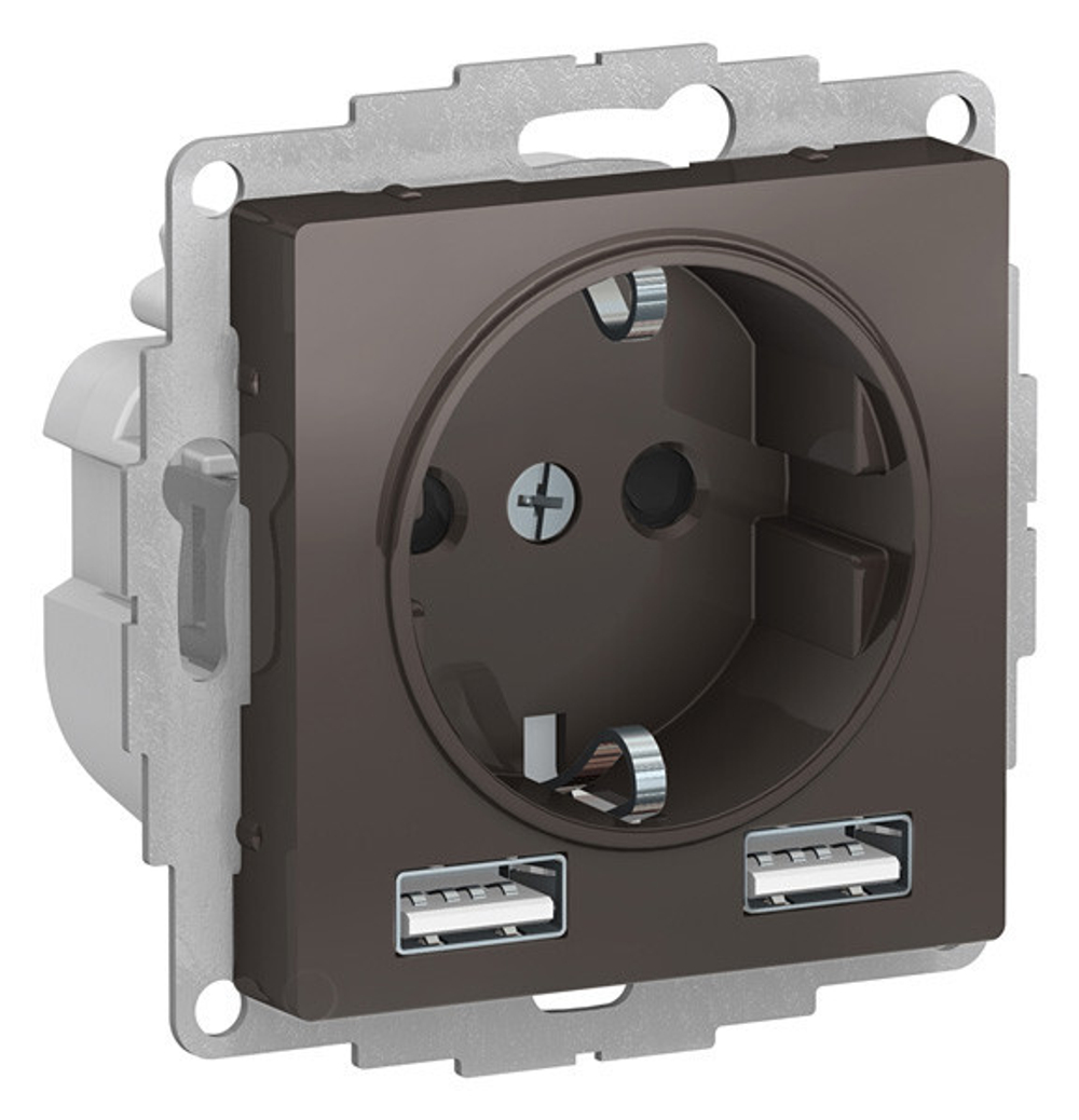 Розетка с заземлением с 2 USB  Systeme Electric ATN000630