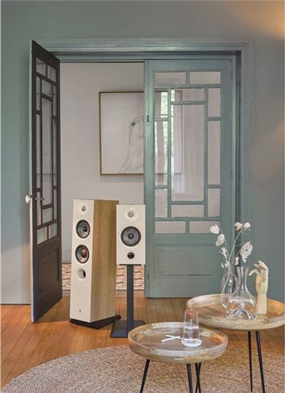 Напольная акустика Focal Chora 816 Light Wood