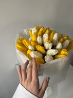Букет из 51 белого и желтого тюльпанов