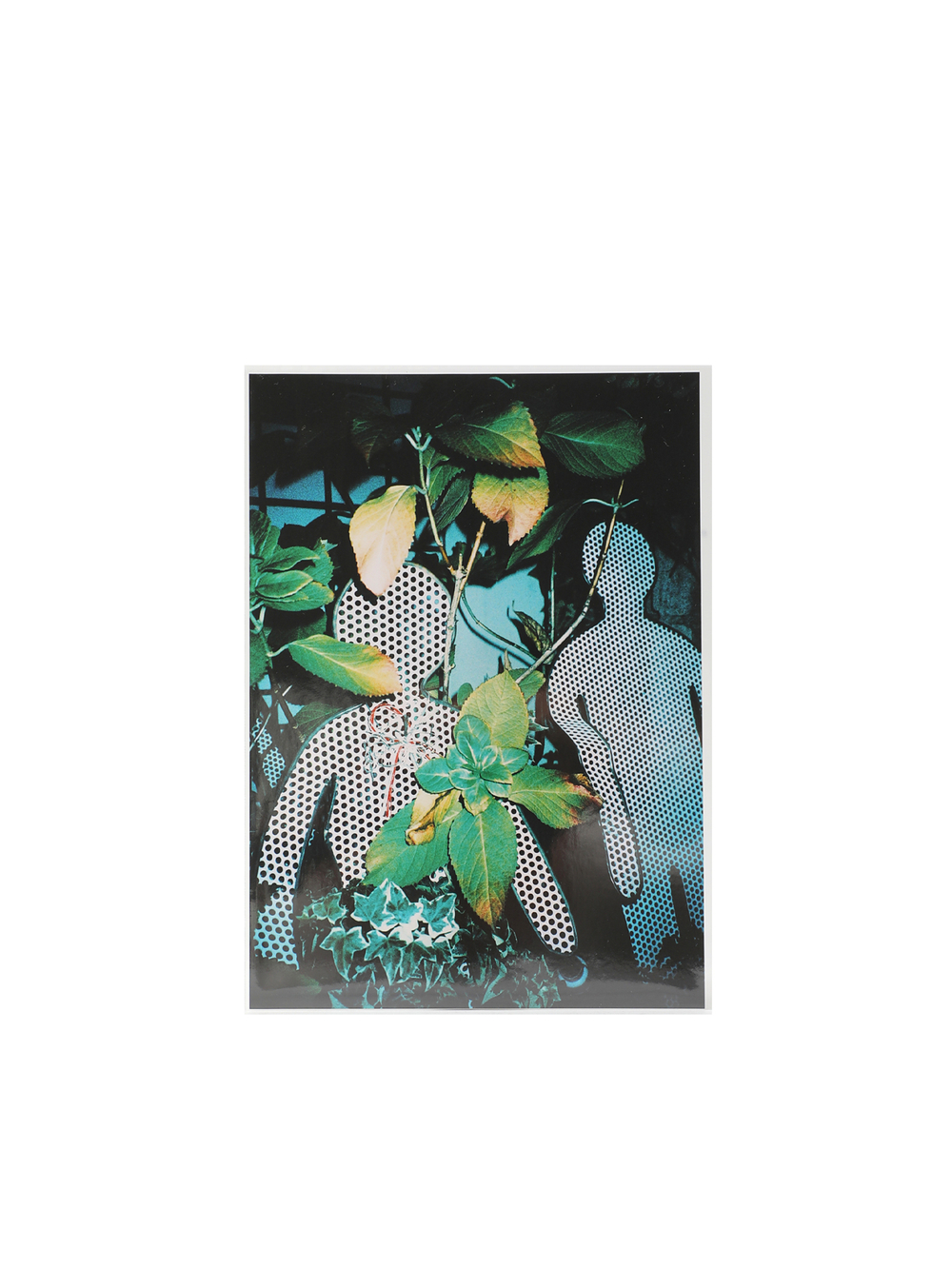 Книга Misha Hollenbach - A