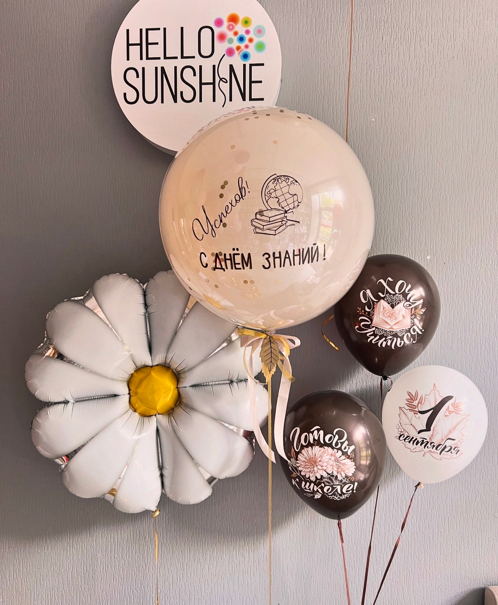 Набор шаров на 1 сентября №7