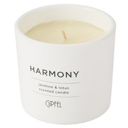 Ароматическая свеча Gipfel Jasmine & Lotus 42916