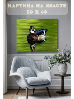 Картина на стену 40 X 50 Утка