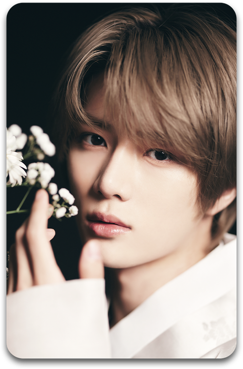 Карта / TXT #246