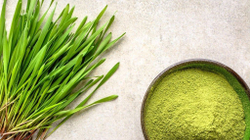 Ячмень пророщенный зеленый порошок, 30 гр