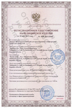 Аппарат для лимфодренажа WelbuTech Luxury Zam – Стандартный комплект, размер L (новый тип стопы), (РУ)