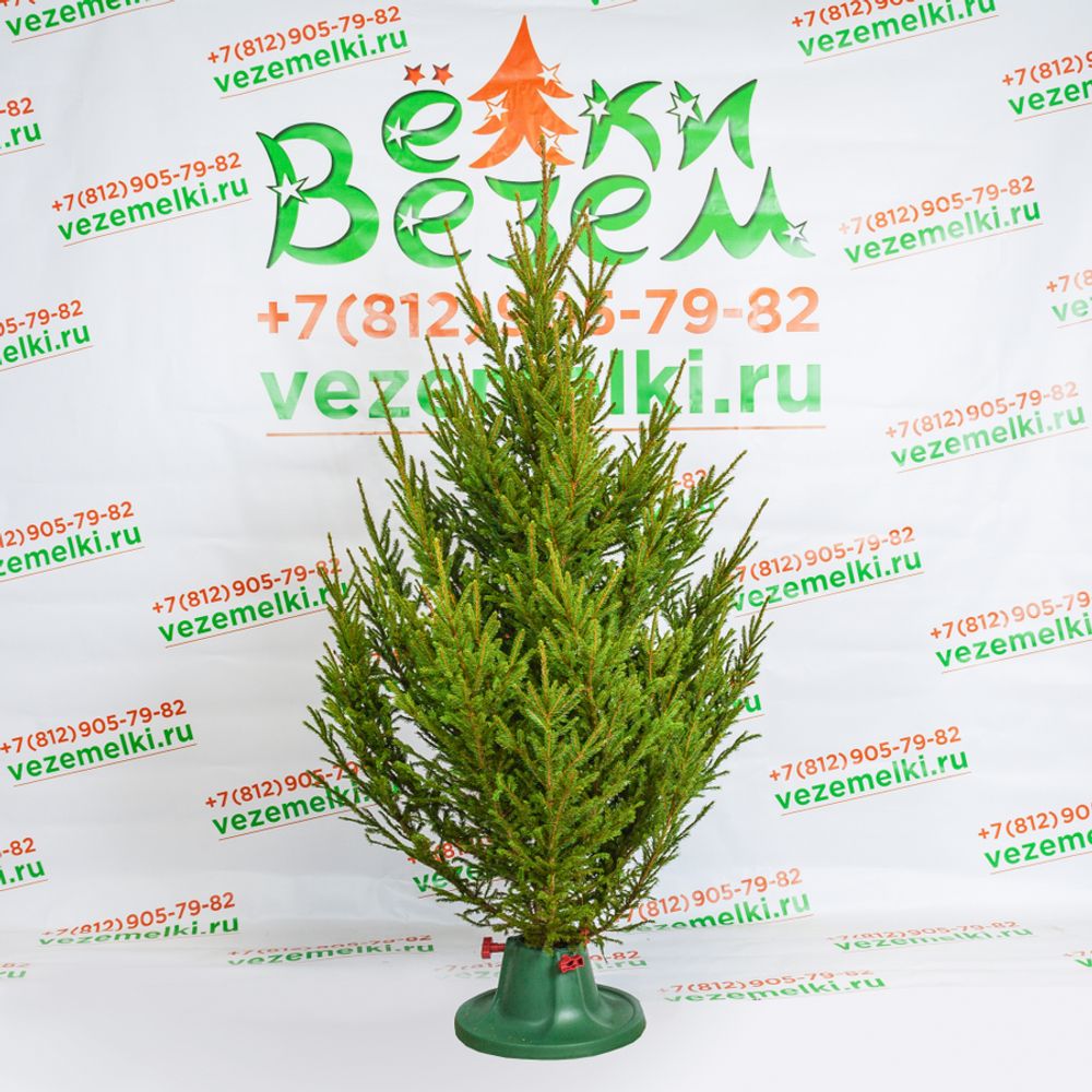 Фотогалерея