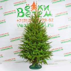 Фотогалерея