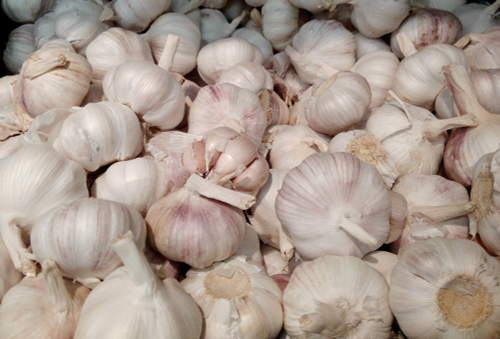 Чеснок озимый Башкирец