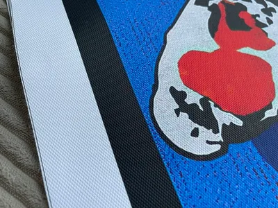 Постер на холсте Carp
