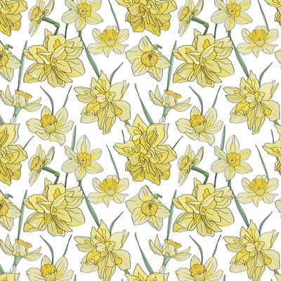 Весенние цветы нарциссы. Ботанические элементы нарисованы вручную.