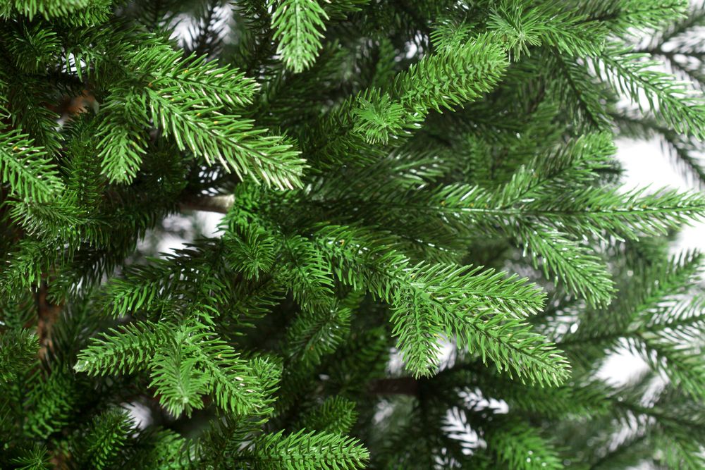 Ель искусственная «Есения» (Литая хвоя) 250 см / 2,5 м