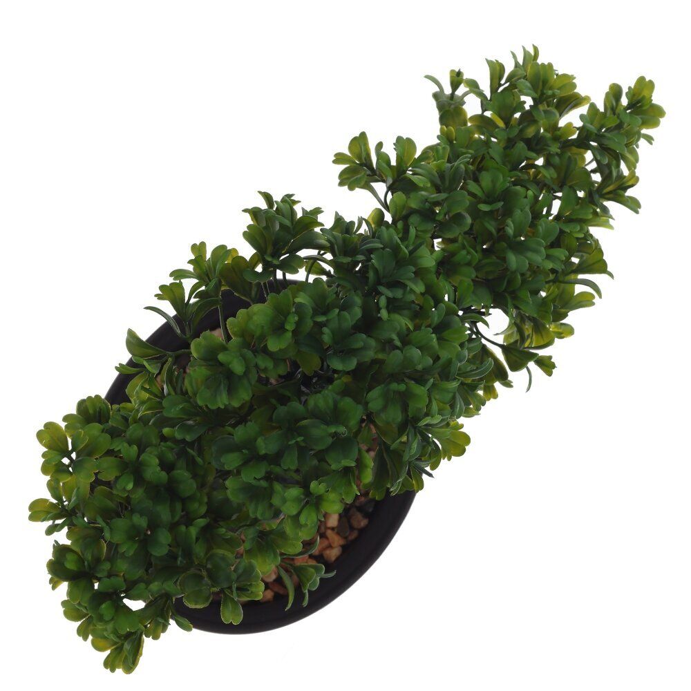 GAEM Цветочная композиция "Бонсай", L32 W13 H19 см, 2в.