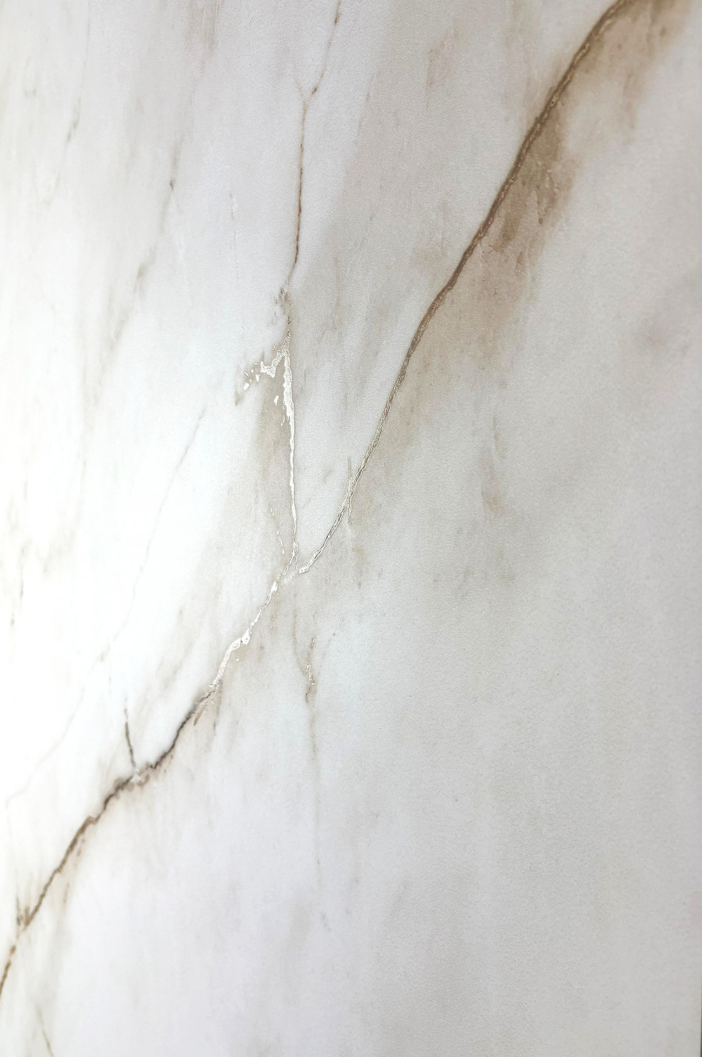 Керамогранит, Creanza, SELVA GOLD, 1200x600 мм, карвинг про
