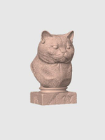 Британская Короткошерстная Кошка
