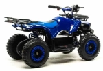 Электроквадроцикл Motoland ATV E009 1000W