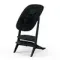 Стульчик Cybex Lemo Platinum 4-in-1 Set Black Wood