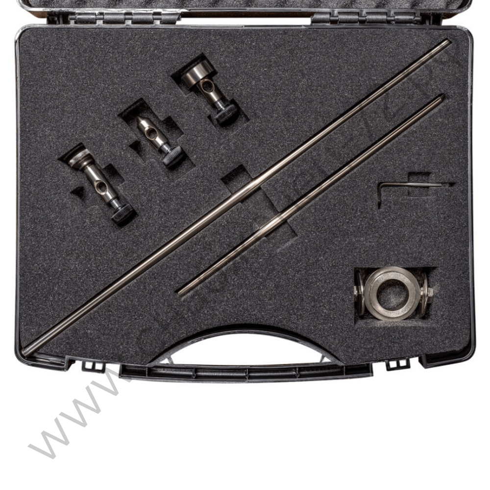 Набор балеринок CP 81 BAL5700