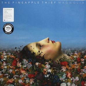 The Pineapple Thief / Magnolia (2LP)