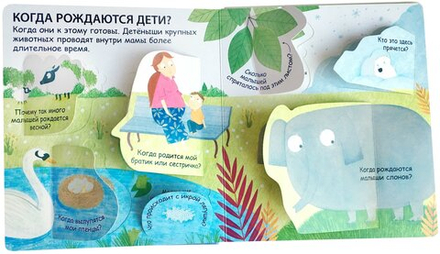 40 окошек. Откуда берутся дети