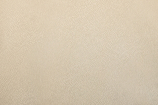 Искусственная кожа Alfa (Альфа) 2303-19