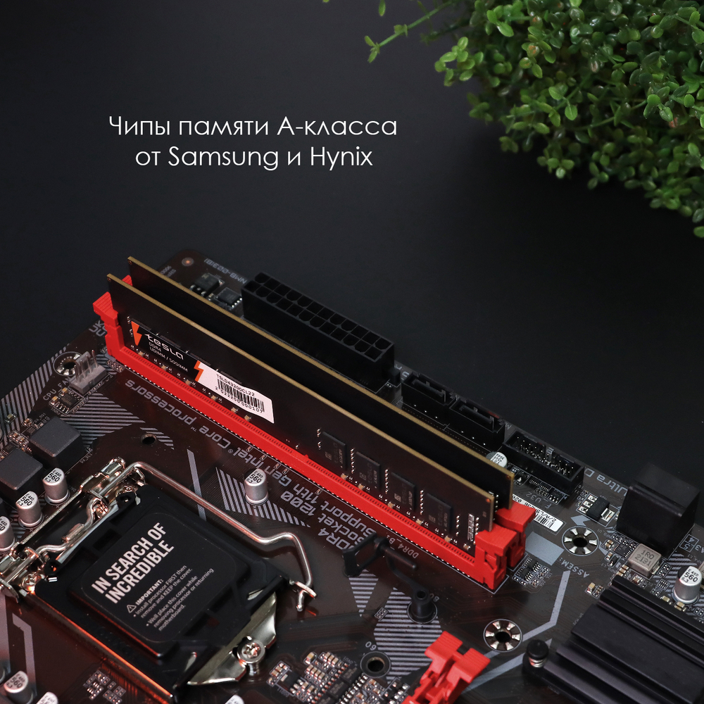 Память TESLA DDR4 DIMM 8Гб, 3200МГц, CL22, Retail, 1.2В (TSLD4-3200-CL22-8G)